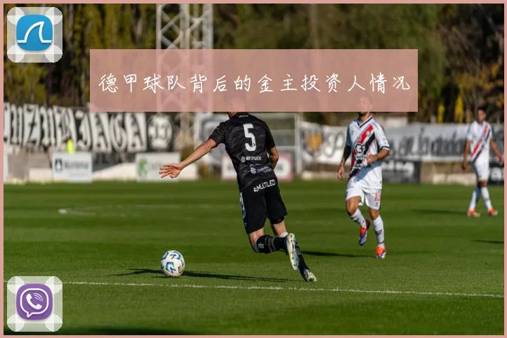 德甲球队背后的金主投资人情况