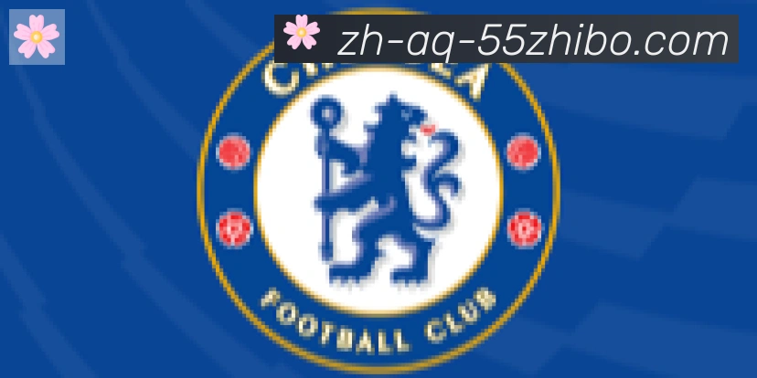 55直播合作伙伴